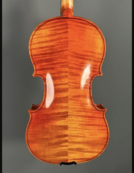 Tartini D-77 Violino
