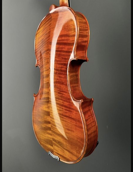 Tartini D-77 Violino