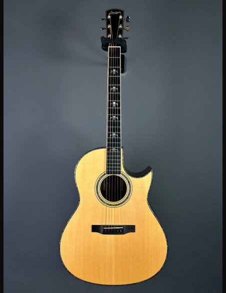 Larrivée Model C-10