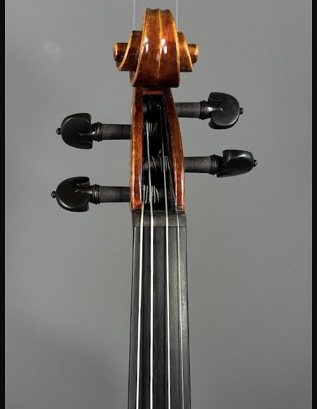 Tartini D-89 Violino