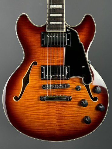 D'Angelico Premier Mini DC Dark Iced Tea Burst