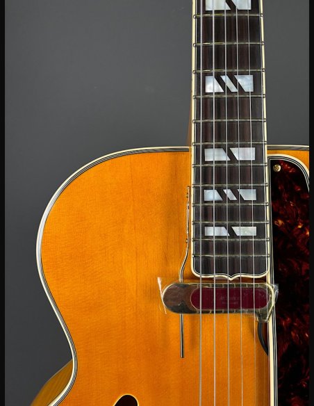 D'Angelico Excel EXL1 Style B Amber