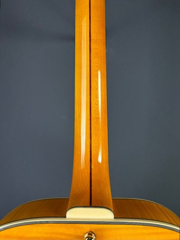 D'Angelico Excel EXL1 Style B Amber