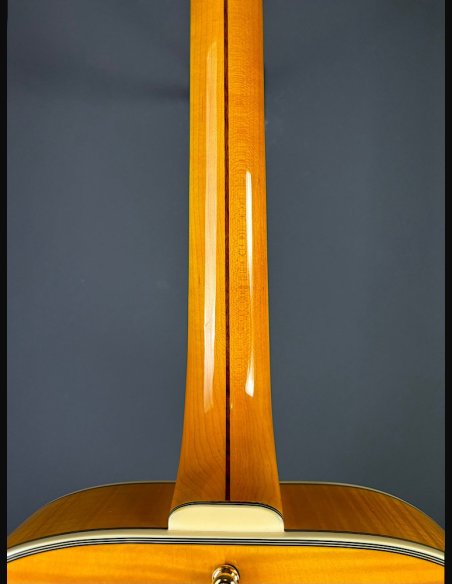 D'Angelico Excel EXL1 Style B Amber