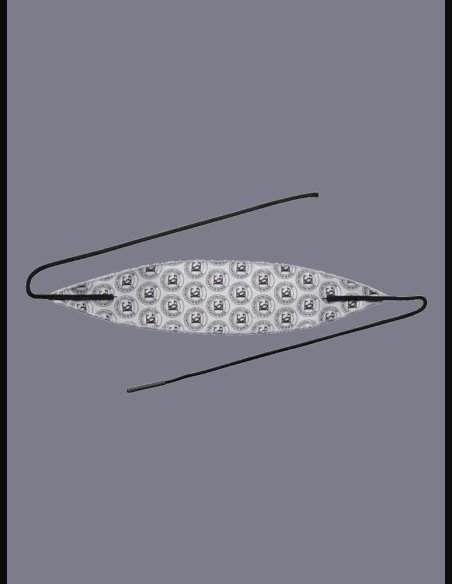 BG A31T Panno Pulizia Tromba