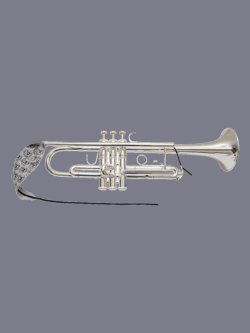 BG A31T Panno Pulizia Tromba 2