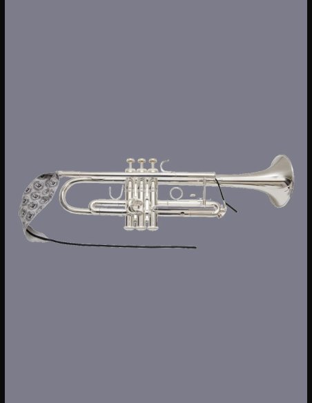 BG A31T Panno Pulizia Tromba