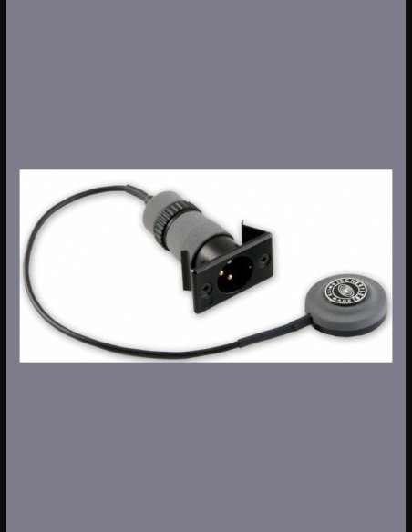 Schertler DYN B SET Mic Cbasso