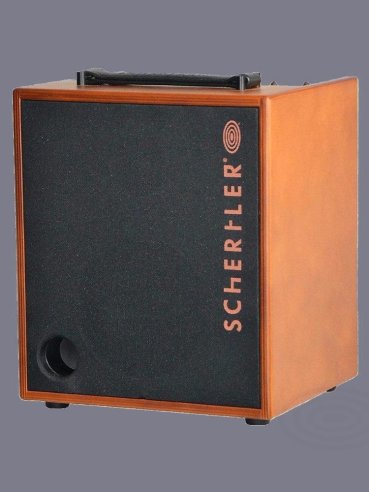 Schertler David Wood Classic Combo Amplificatore 100 Watts Chitarra Acustica