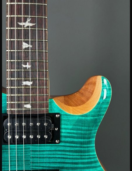 PRS SE Custom 24 Turquiose