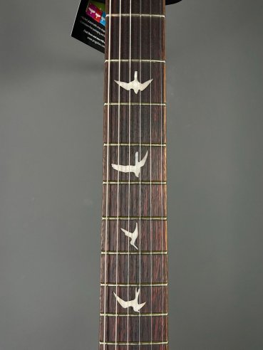 PRS SE Custom 24 Turquiose