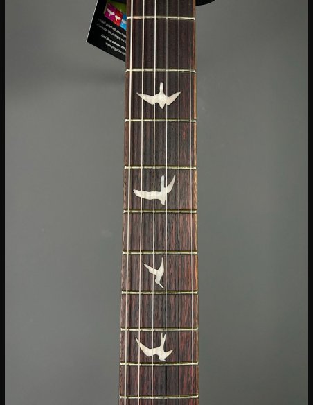 PRS SE Custom 24 Turquiose