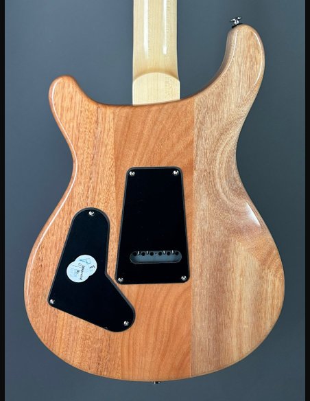 PRS SE Custom 24 Turquiose