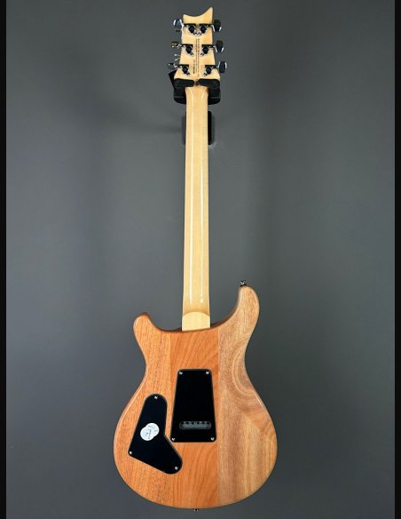 PRS SE Custom 24 Turquiose