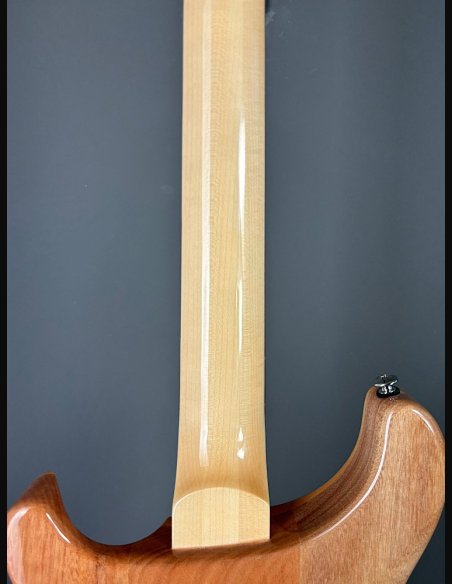 PRS SE Custom 24 Turquiose