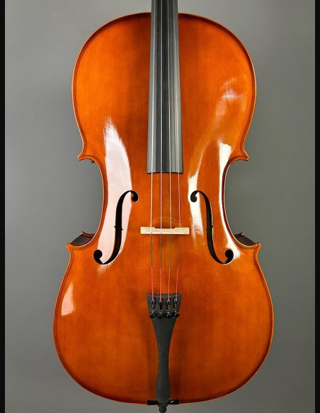 Domus Allievo 1 Violoncello con Borsa Arco 4/4