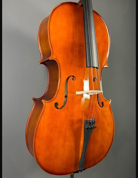 Domus Allievo 1 Violoncello con Borsa Arco 4/4