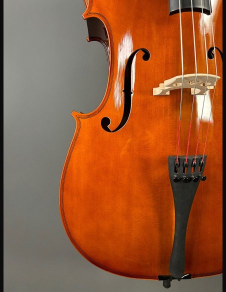 Domus Allievo 1 Violoncello con Borsa Arco 4/4