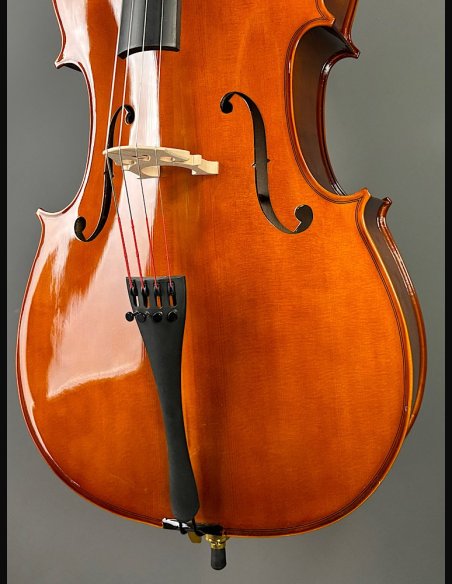 Domus Allievo 1 Violoncello con Borsa Arco 4/4