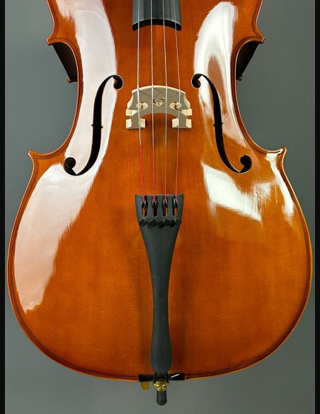 Domus Allievo 1 Violoncello con Borsa Arco 4/4