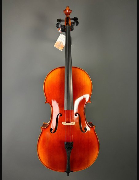 Gewa I VC3 Maestro Violoncello 4/4