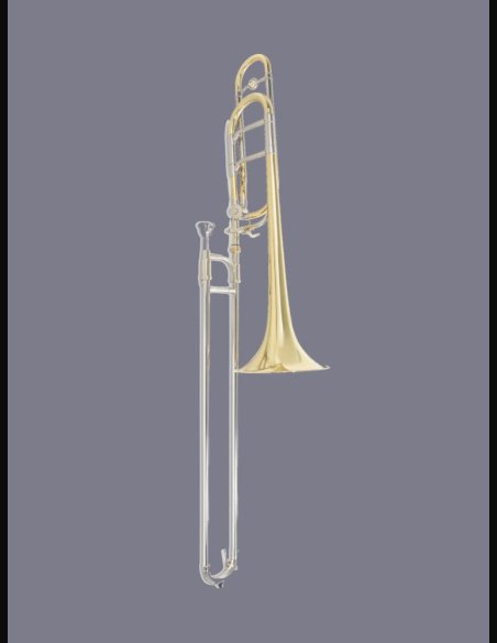 Roy Benson TT-242F Trombone Tenore Coulisse New Model