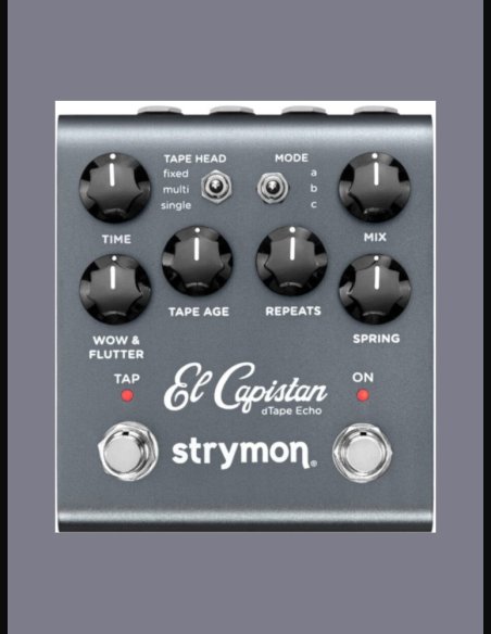 Strymon El Capistan Delay