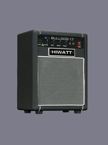 Hiwatt Bulldog 17 Bass Combo 17W