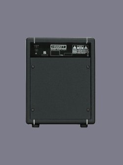 Hiwatt Bulldog 17 Bass Combo 17W 2