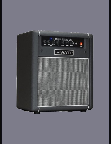 Hiwatt Bulldog 30 Bass Combo 30W
