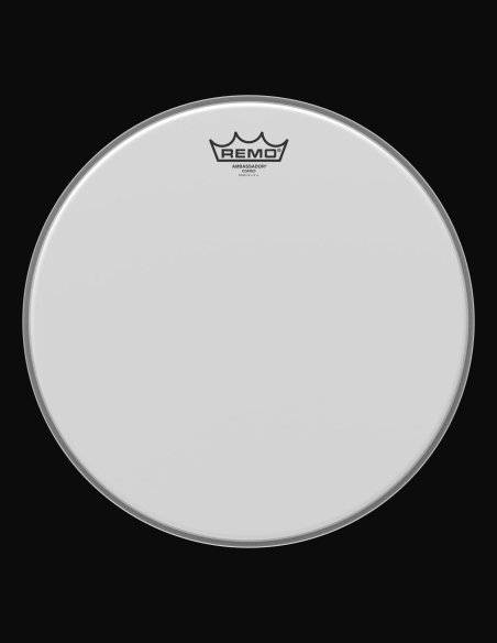 Remo Ambassador 26" Pelle Opaca