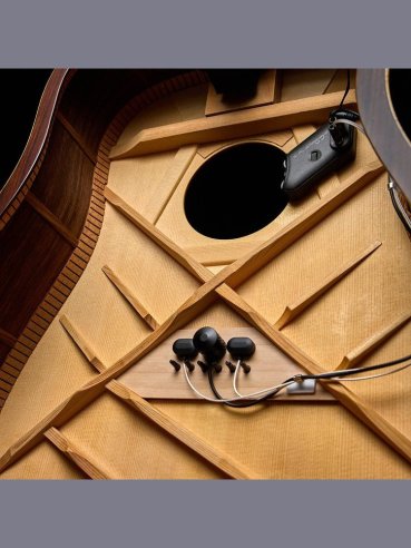 L.R. Baggs Hi Fi Duet Bridge Plate