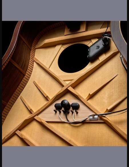 L.R. Baggs Hi Fi Duet Bridge Plate