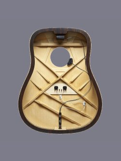 L.R. Baggs Hi Fi Pick Up Bridge Plate 2