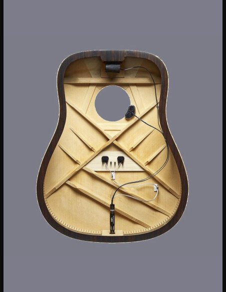 L.R. Baggs Hi Fi Pick Up Bridge Plate