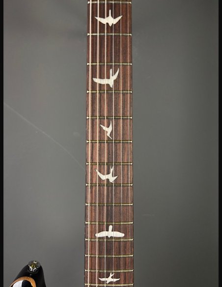 PRS SE Custom 24 Black Gold Burst