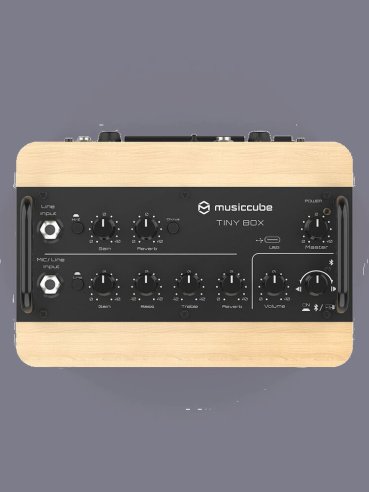 Music Cube Tiny Box D2 Oak 50 W Multi Functional PA