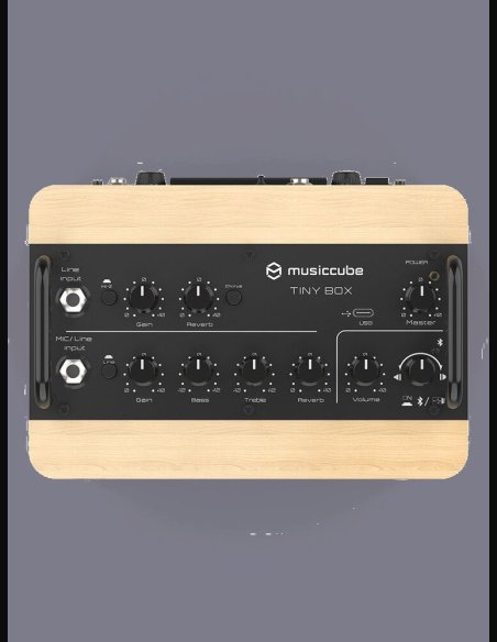 Music Cube Tiny Box D2 Oak 50 W Multi Functional PA