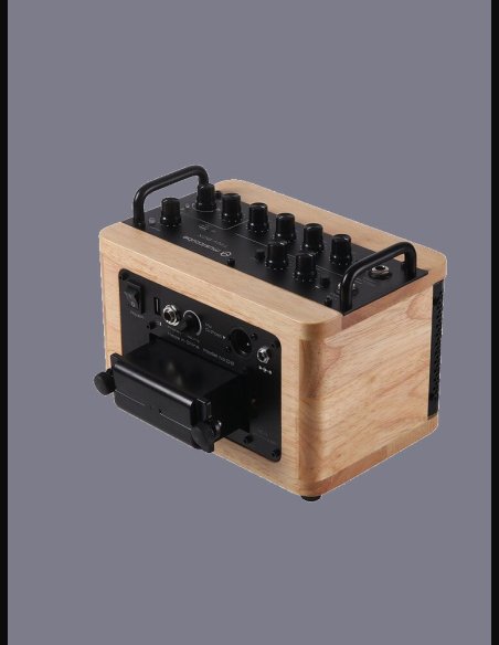 Music Cube Tiny Box D2 Oak 50 W Multi Functional PA
