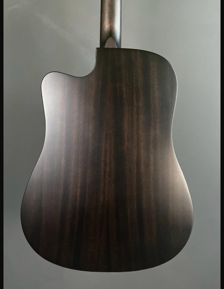 Sigma SE DMCE Black Dreadnought Cutaway