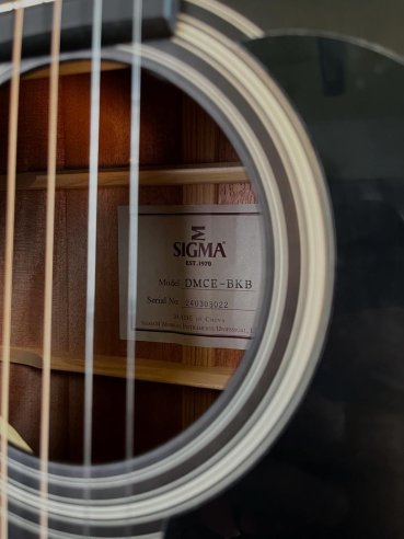 Sigma SE DMCE Black Dreadnought Cutaway