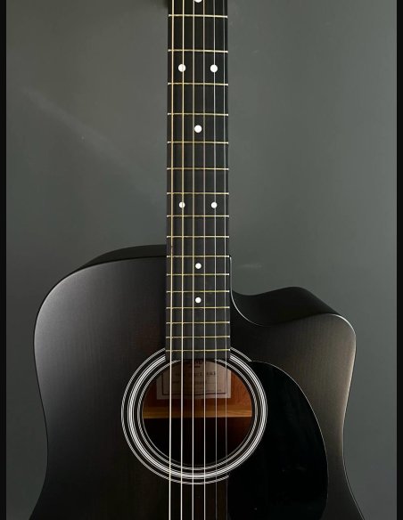 Sigma SE DMCE Black Dreadnought Cutaway