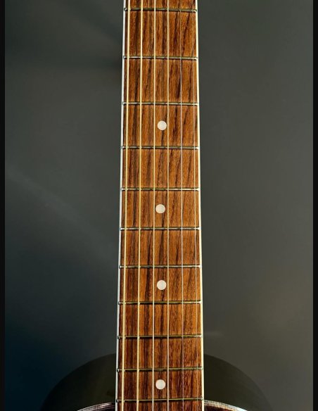 Johnson JR-960E PN Parlor Resofonica Metal Elettrificata