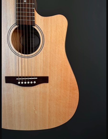 Godin Metropolis CW Natural EQ