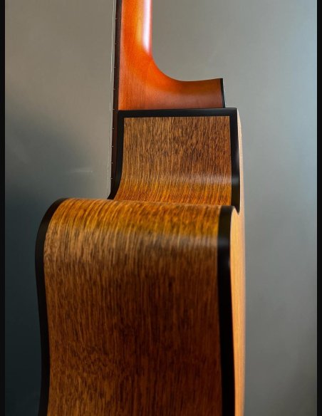 Godin Metropolis CW Natural EQ