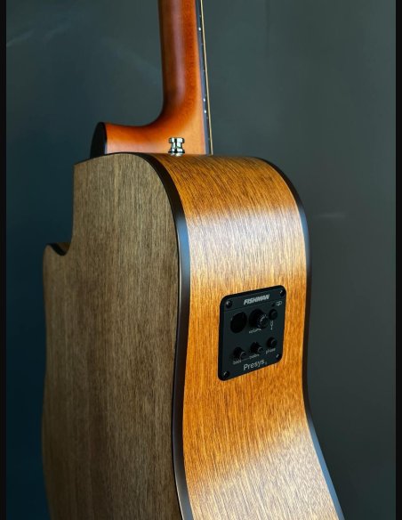 Godin Metropolis CW Natural EQ