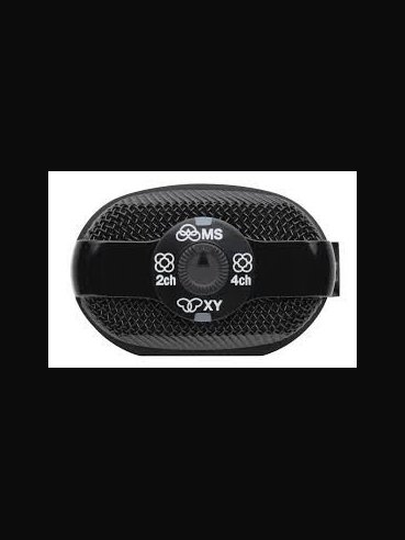 Zoom H2N REG. Palmare