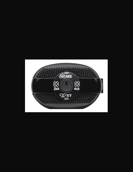 Zoom H2N REG. Palmare