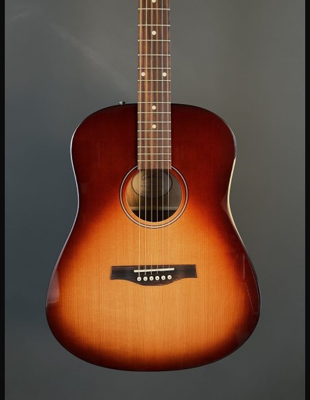 Godin Metropolis Vintage Burst GT EQ