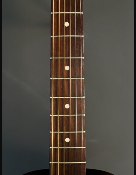 Godin Metropolis Vintage Burst GT EQ